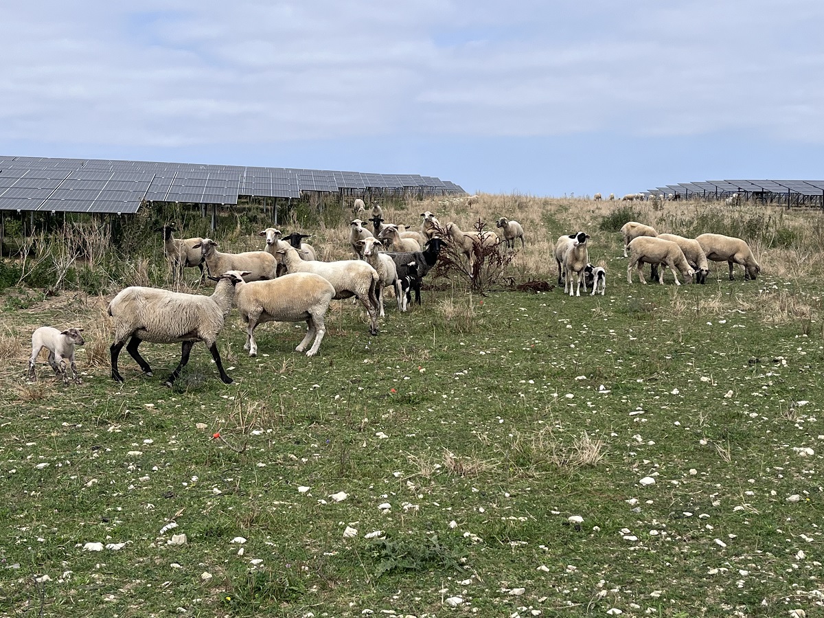 solarflaeche doernten 1200